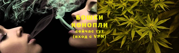 PSILOCYBIN Алзамай